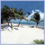 Club St. Croix & Colony Cove