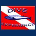 Dive Experience