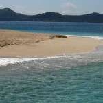 Buck Island