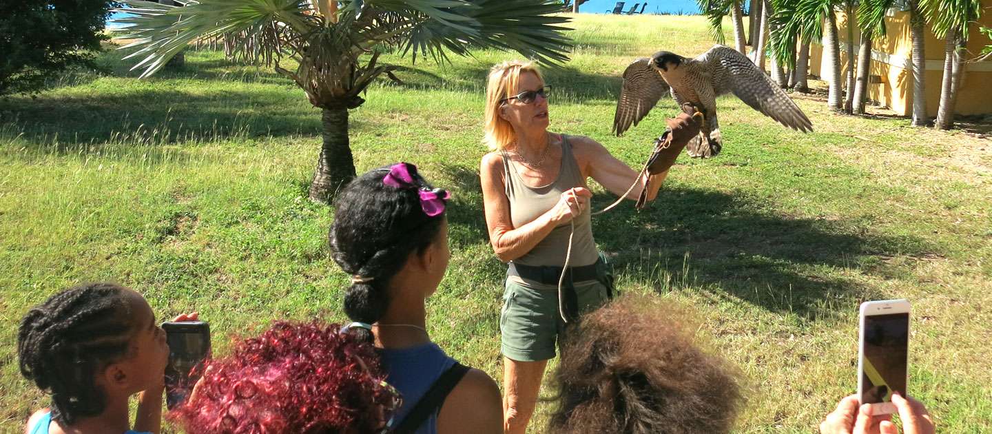 A Trip to the St. Croix Avian Sanctuary with Toni Lance