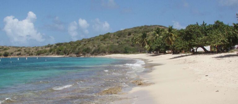 edit beach guide cramers park 768x336