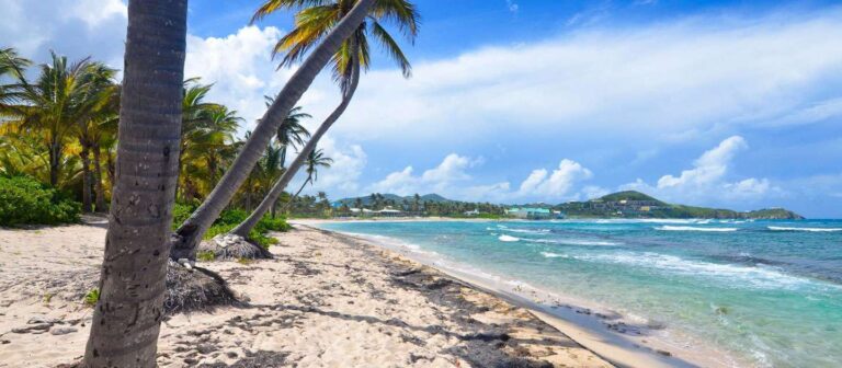 edit beach guide hibiscus beach 768x336