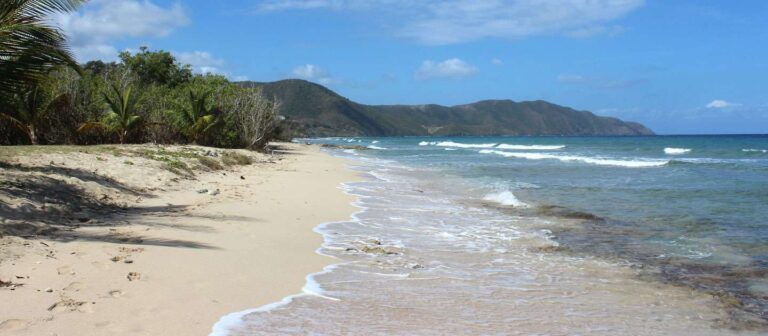 edit beach guide northstar bay 768x336