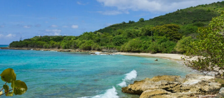 edit beach butler bay 768x336