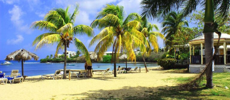 feat chenay bay 02 768x336