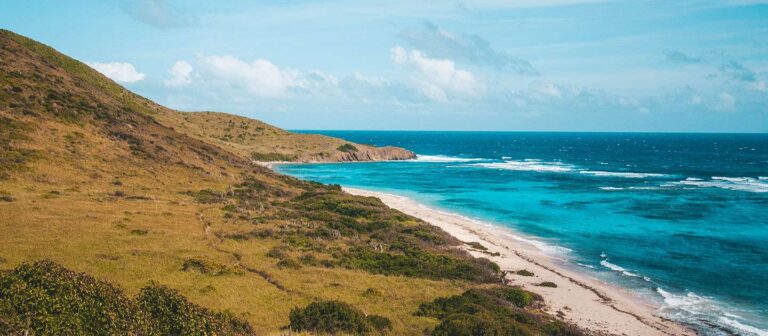 feat jacks bay mz 06 768x336
