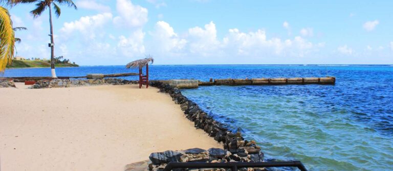 feat long reef 01 768x335