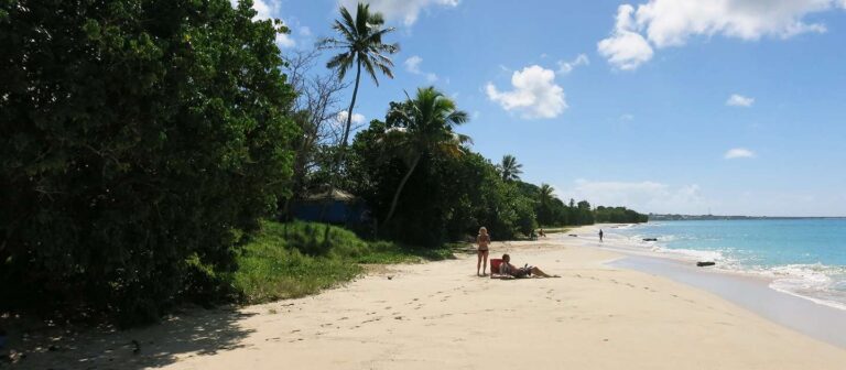 feat sprat hall beach 01 768x336