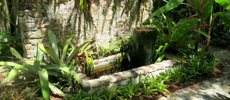 edit reconnect nature botanical gardens 1 768x336