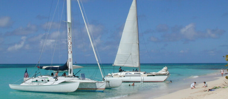 feat buck island charters buck island tours 768x336