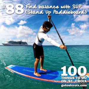 stcroix100-088-sup