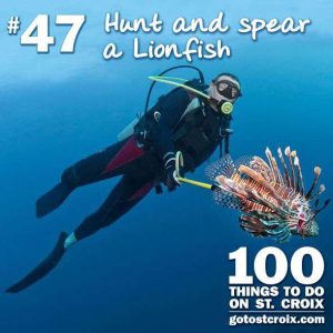 stcroix100-047-spear-lionfish