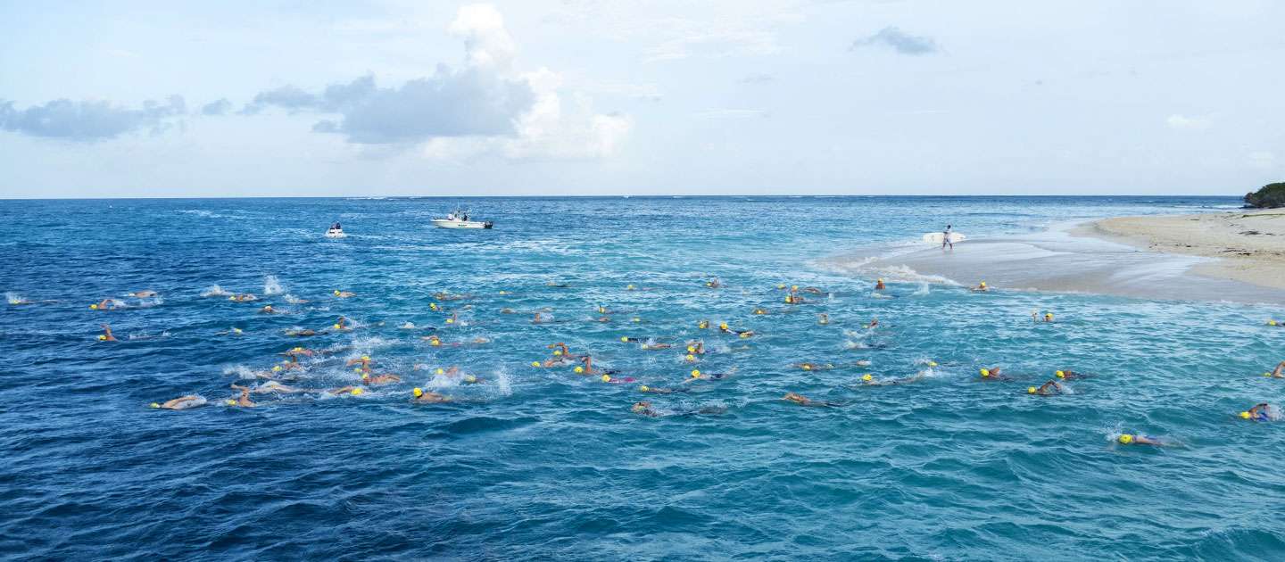 Coral Reef Swim Race