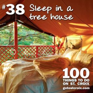 stcroix100_38_treehouse2