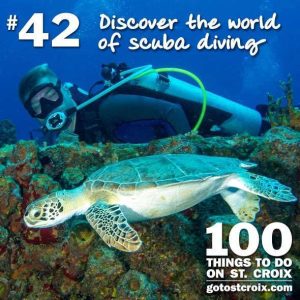 stcroix100-042-discover-scuba