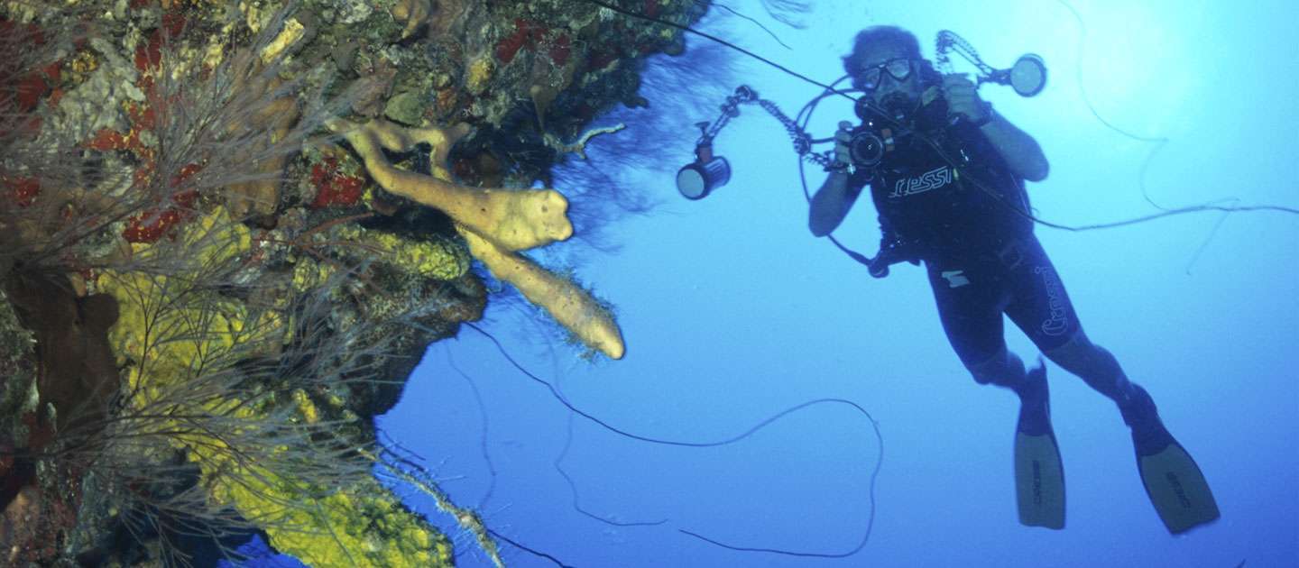 edit dive sites cane bay wall