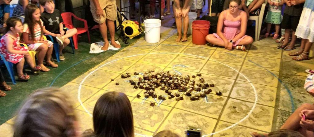 Family Fun at the Crab Races