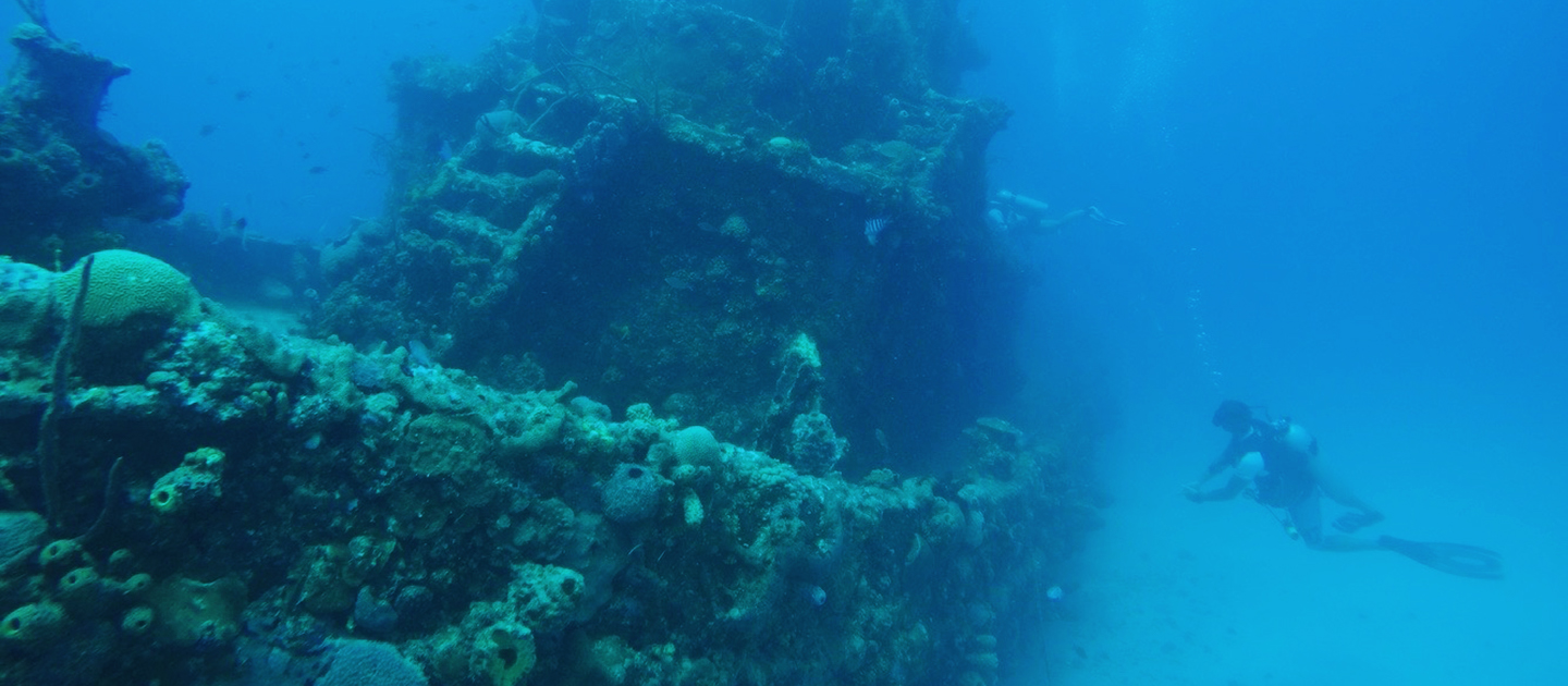 gallery adventures in diving stx wreck dive