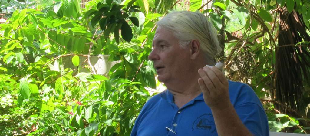 Historic Artifacts on Company Street