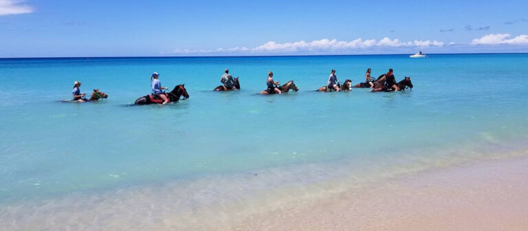 feat cruzan cowgirls ocean group swim 1 768x336