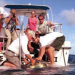 STAR Network Keeps Eye on Turtles