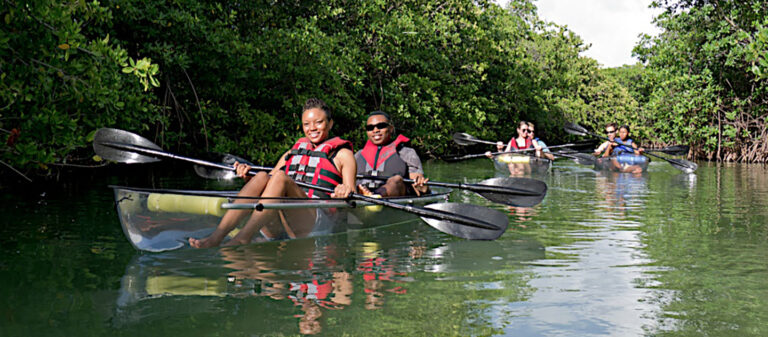 gallery sea thru kayaks customers in clear kayaks during day 768x337