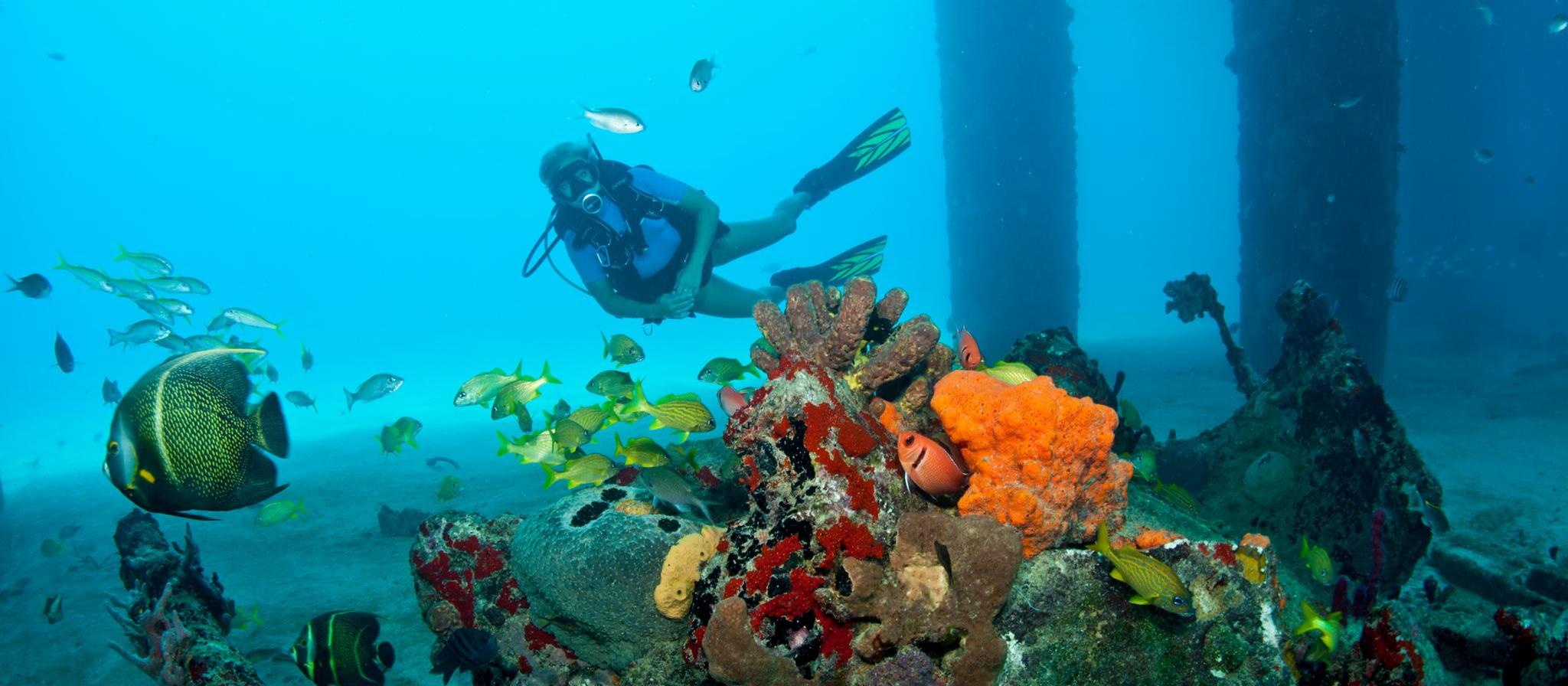 blog womens dive day frederiksted pier dive cane bay dive shop fb