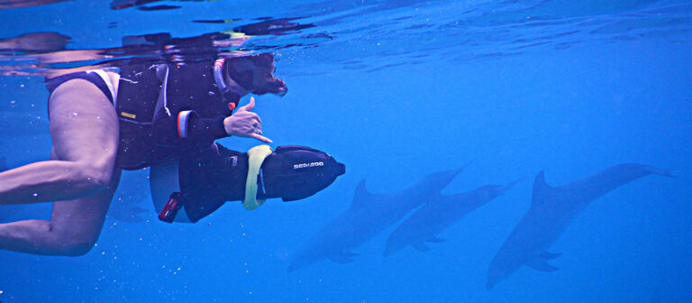 feat meremaid adventures April chakra N Dolphins 1 DSCN2244 768x336
