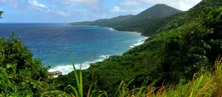 edit hiking guide annaly bay tide pools view from hilltop 768x336