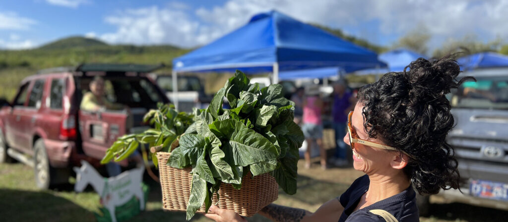 person admiring their container of leafy greens in the foreground, farmers market and island landscape in the background