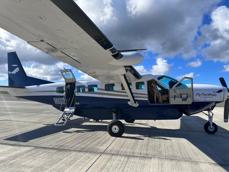 FLY THE WHALE AIRCRAFT cvi port authority 768x576
