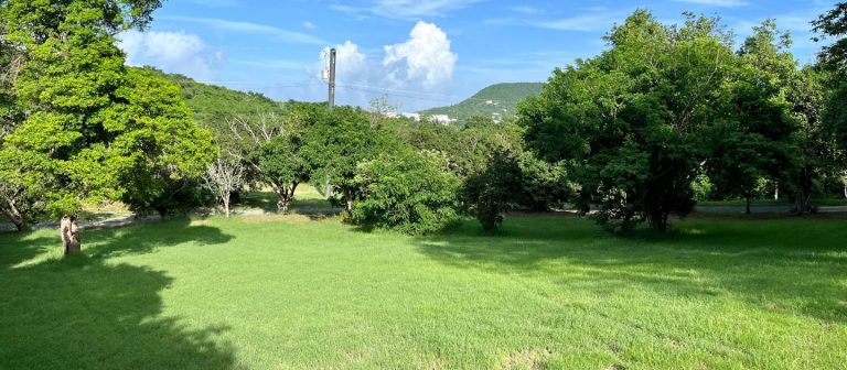 Grange Estate Lawn 768x336