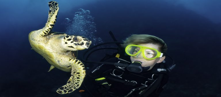 Heather w Turtle GTSC 768x336