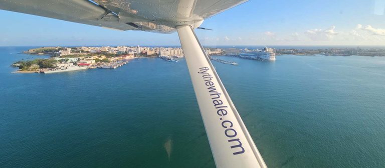 ad fly the whale flying into puerto rico 768x336