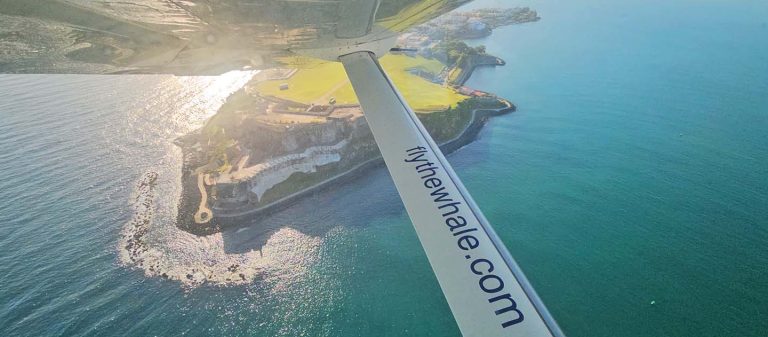 ad fly the whale flying over old san juan fort 768x337