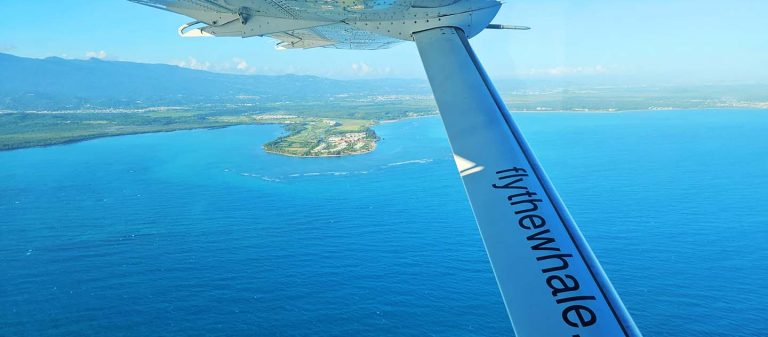 ad fly the whale flying over puerto rico 768x337