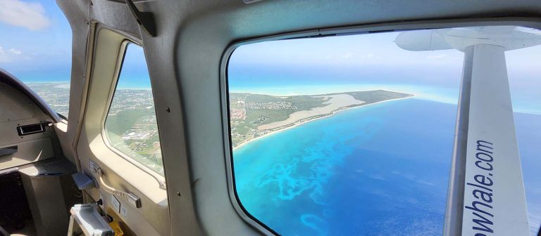 ad fly the whale flying over sandy point st croix 768x336
