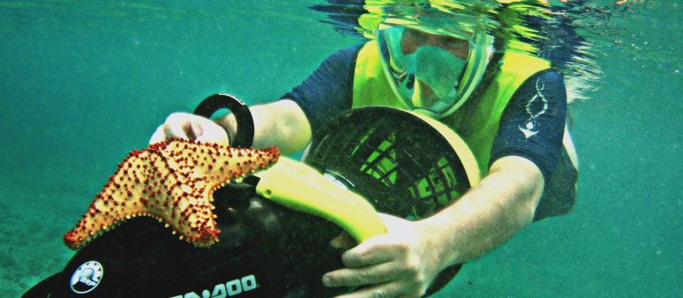 ad mermaid adventures Scooter starfish 768x336