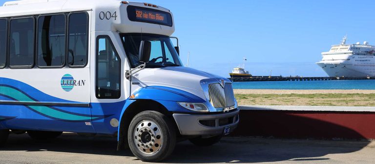 ad public transportation vitran wheelchair access 768x336