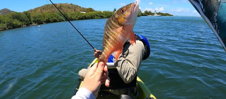 ad silver kings kayak snapper catch fb 768x336