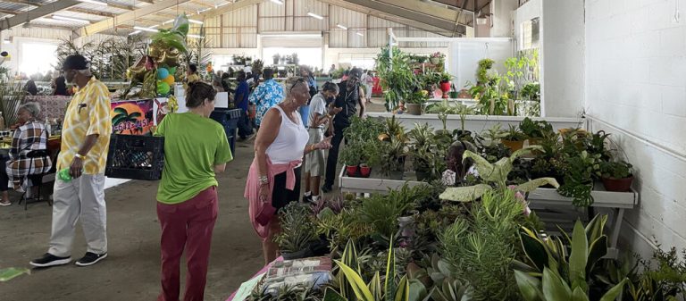 agrifest 2023 vendors 1024x449 1 768x337