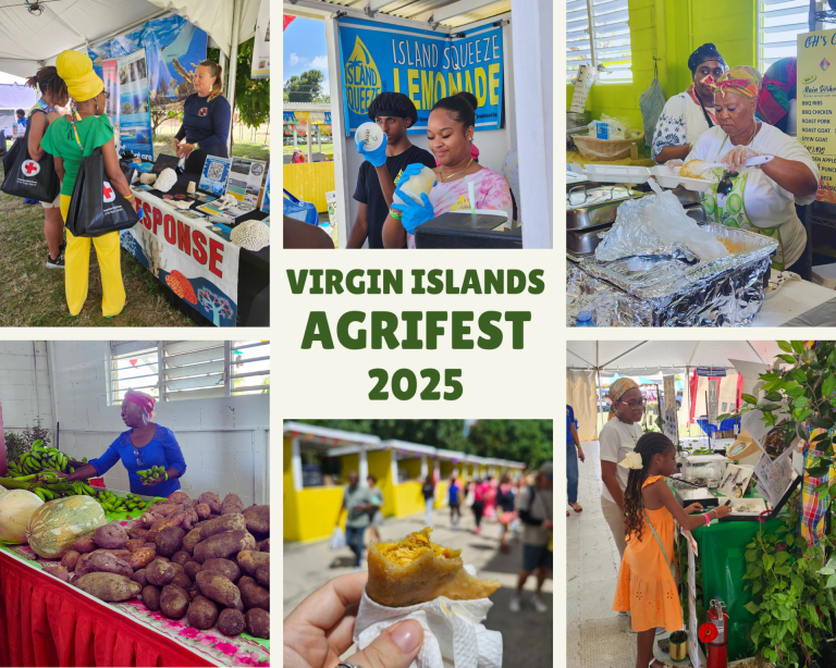agrifest 2025 1 768x614