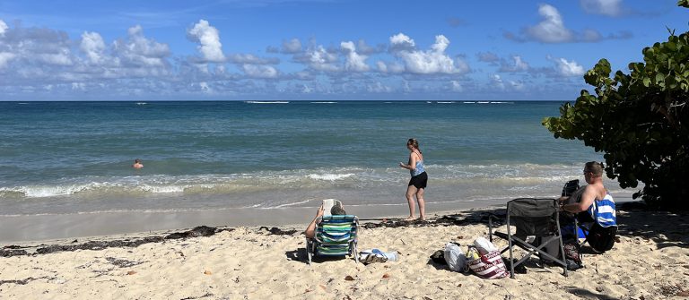 cramer park beach goers 2024 768x335