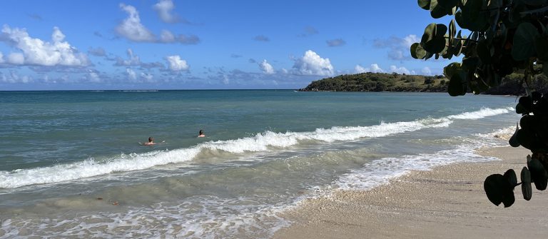 cramer park swimming at beach 2024 768x335