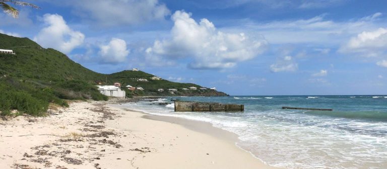 edit beach guide grapetree beach 768x336