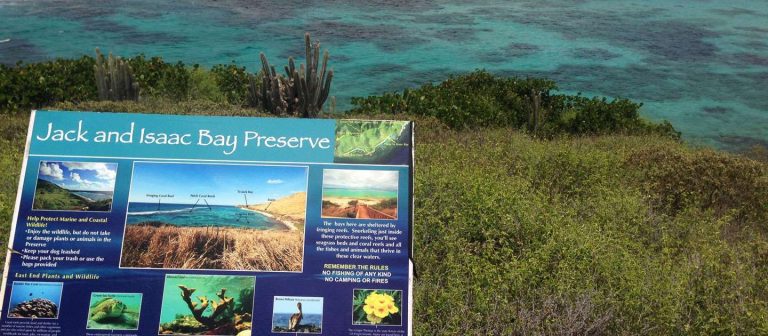 edit beach guide jacks bay 768x336