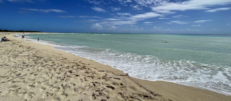 edit beach guide sandy point 2023 768x337