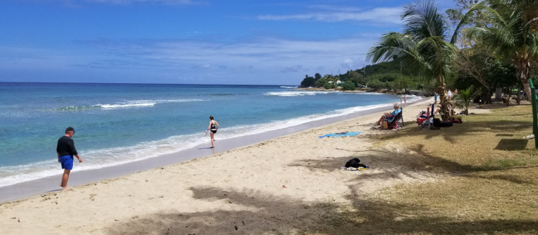 edit beaches cane bay looking east 768x336