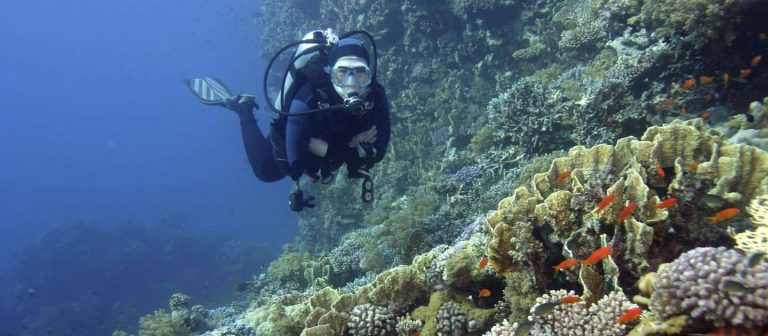 edit blog deep diving on st croix 768x336