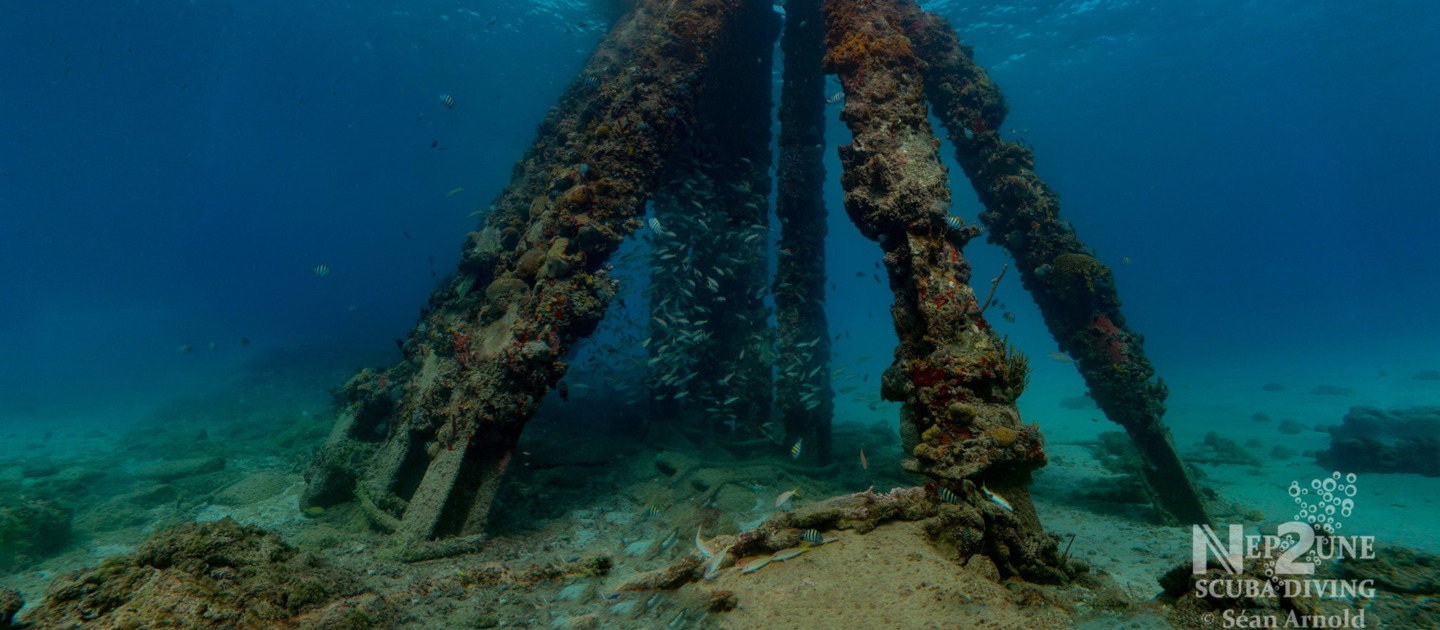 edit frederiksted pier old pier dolphins nep2une scuba diving